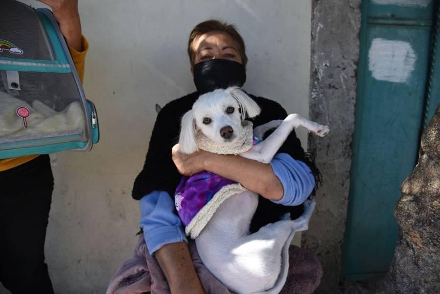 En Tlaxcala Capital se efectuará jornada de vacunación antirrábica canina y felina